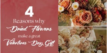 4 reasons why dried flowers make a great Valentines day gift.