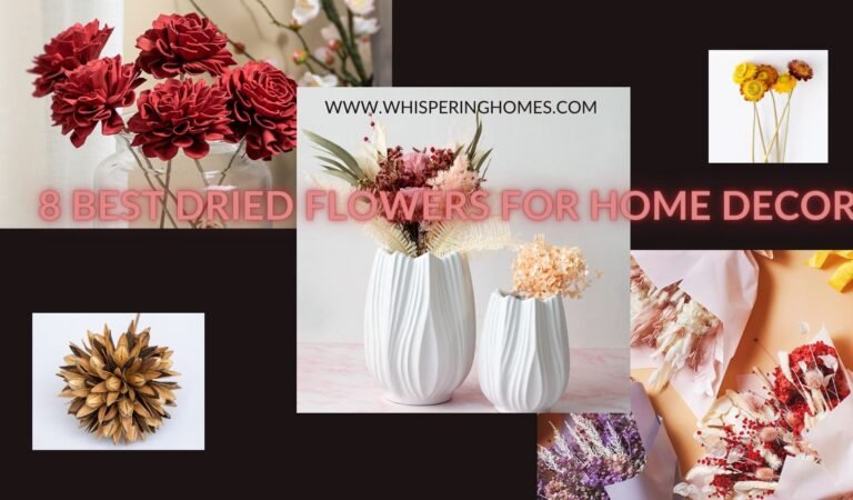 8 Best Dried Flowers for Home Decor