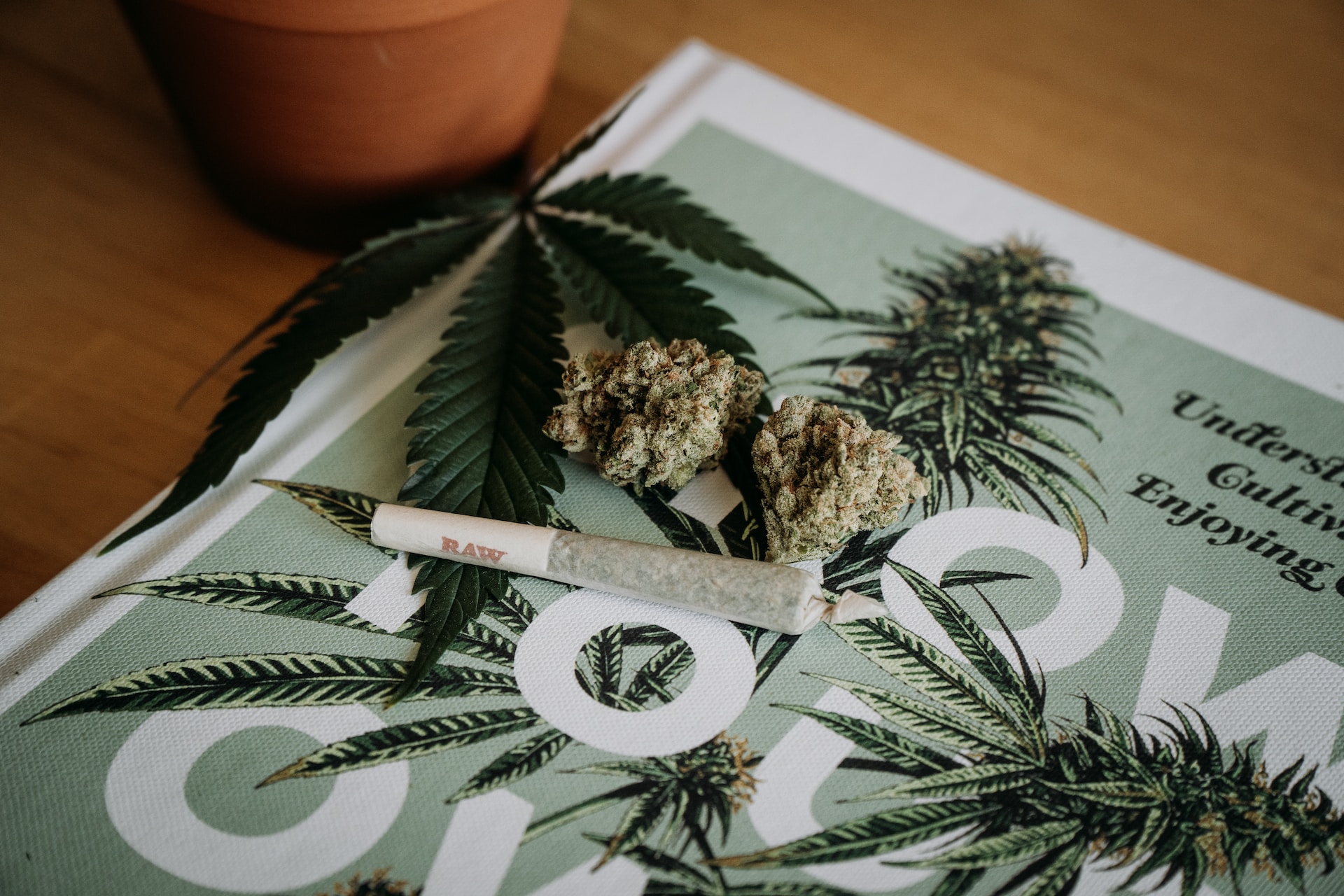 Cannabis And Workplace Policies: Balancing Employee Rights And Employer ...