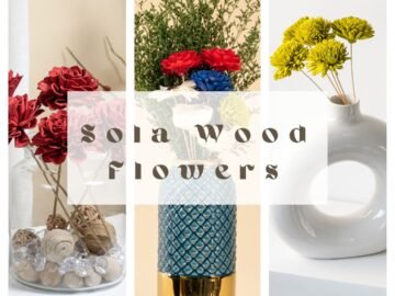 Ultimate Guide to Sola Wood Flowers