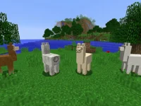 Find Out How to Tame a Llama in Minecraft & It's Uses