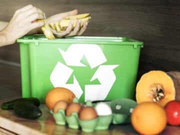 5 New Innovative Food Waste Recycling Resolutions - Fertile Earthworm Farm Blog