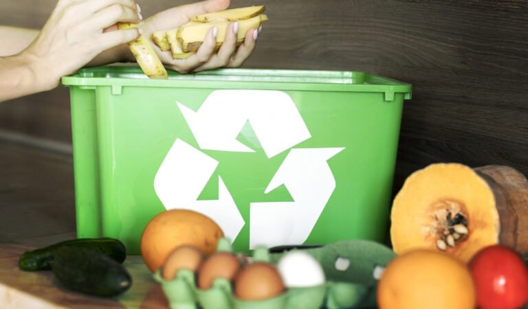 5 New Innovative Food Waste Recycling Resolutions – Fertile Earthworm Farm Blog